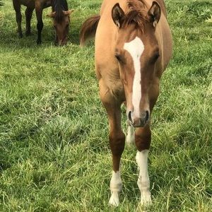 Meet your Posher, Gloria